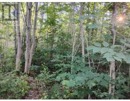 Lot Fraser Road, Princedale, NS B0S1G0 Photo 15