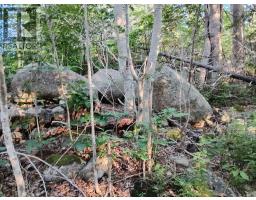 Lot Fraser Road, Princedale, NS B0S1G0 Photo 12