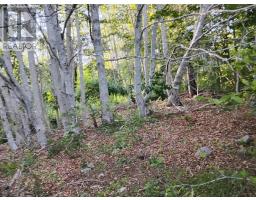 Lot Fraser Road, Princedale, NS B0S1G0 Photo 13