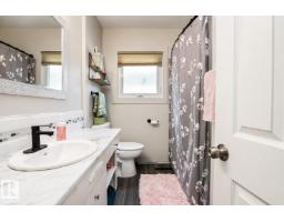 12231 55 St Nw, Edmonton, AB T5W3R5 Photo 19