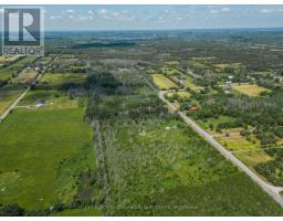5930 County Rd 9, Greater Napanee, ON K7R3K8 Photo 6