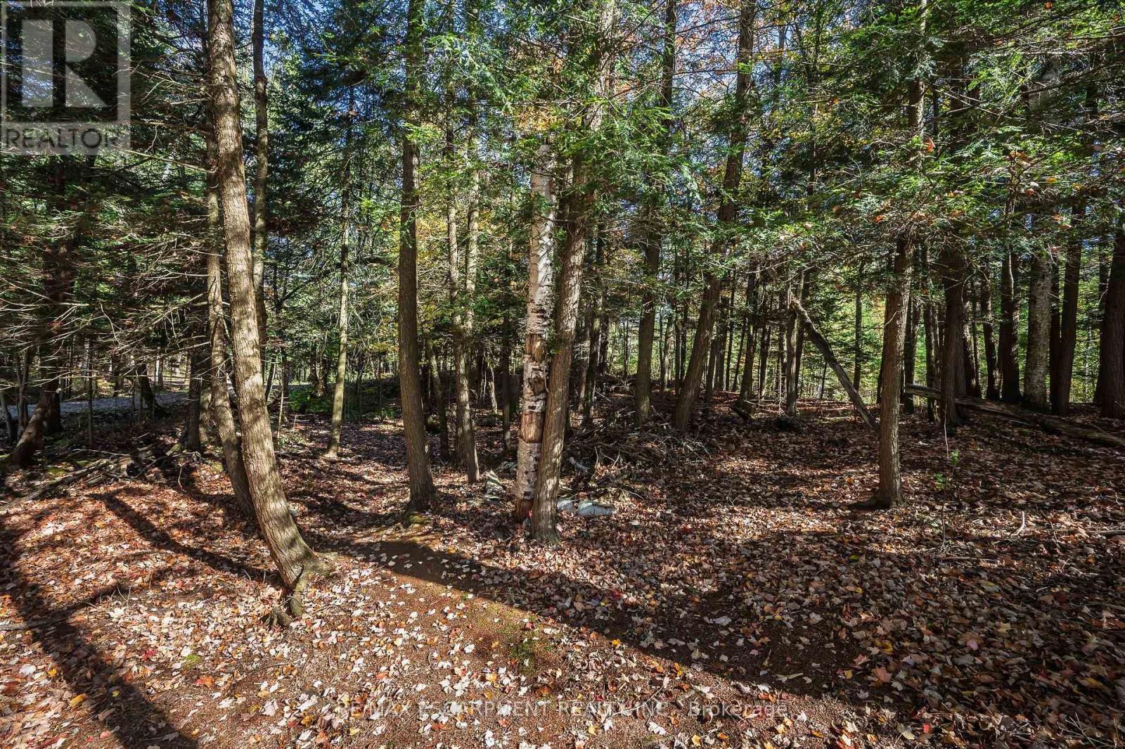 1012 ARMSTRONG ROAD - 27