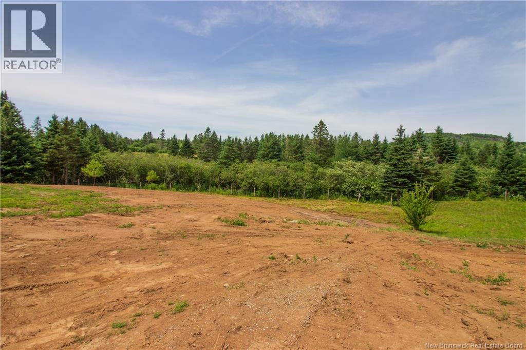 597 Grove Hill Road - 41