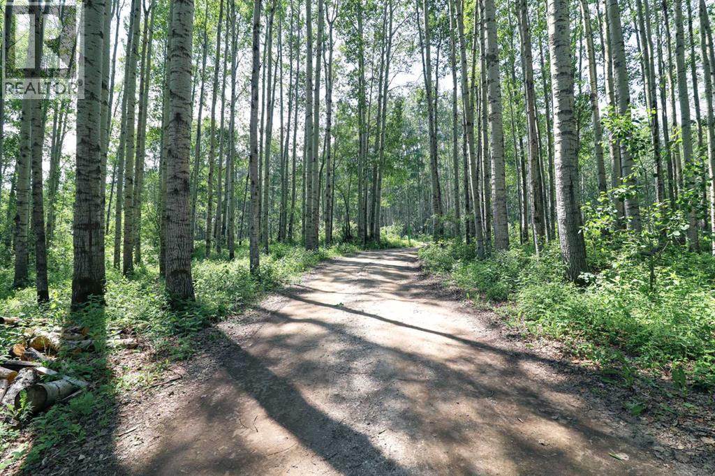 6316 TWP RD 694 - 36