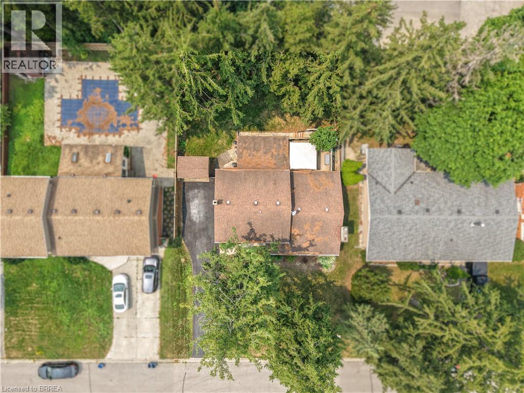 10 BRIER Crescent - 44
