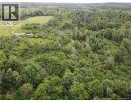 0000 Blowdown Rd, photo 2