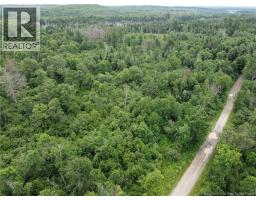 0000 Blowdown Rd, photo 3