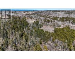 Lot 8 Marc Comeau Road, Meteghan River, NS B0W2L0 Photo 9