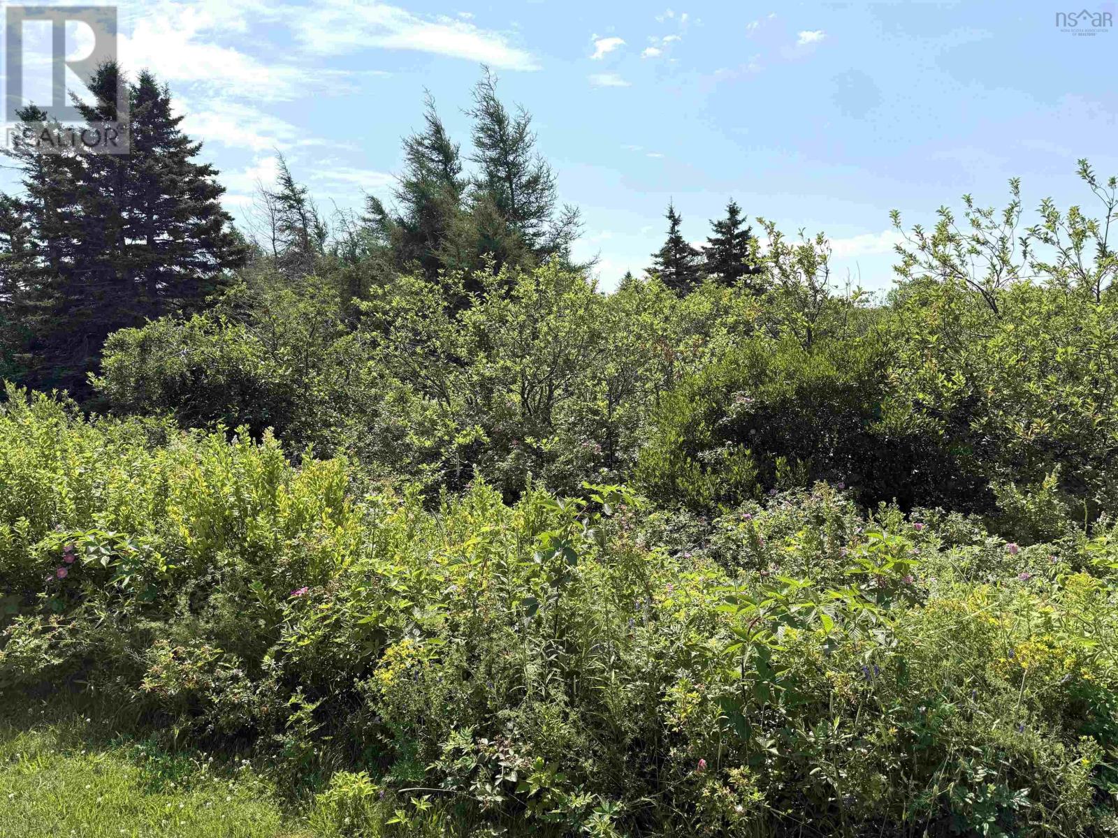 Lot 32 Elderberry Drive, Malagash Point — photo 3
