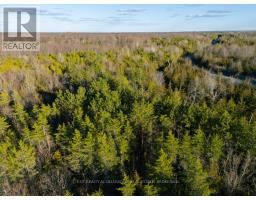 0 Lime Lake Road, Greater Napanee, ON K0K2W0 Photo 12