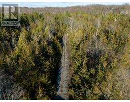 0 Lime Lake Road, Greater Napanee, ON K0K2W0 Photo 14