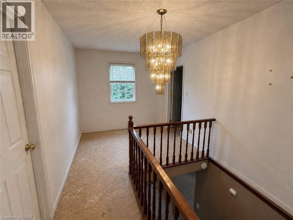 10 JEANETTE Avenue - 13