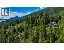 4830 Fletcher Creek Frontage Road, Kaslo, BC V0G1M0 Photo 41