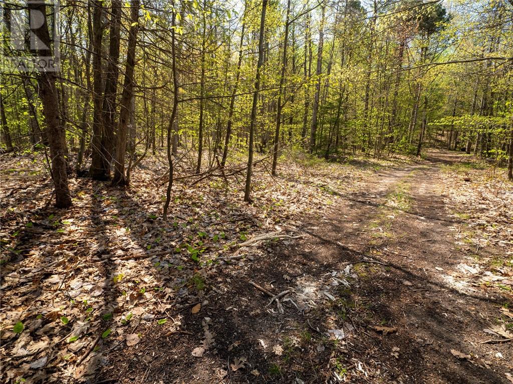 15769 Highway 540 - 5