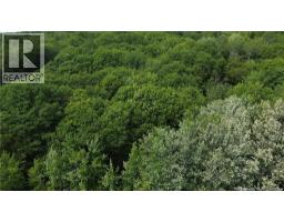 Lot Elm Hill Road, Hampstead, NB E1B2A4 Photo 12
