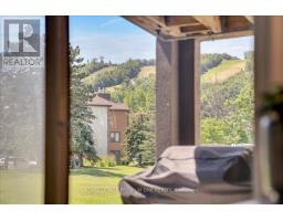 118 - 169 Jozo Weider Boulevard, Blue Mountains, ON L9Y0P7 Photo 13