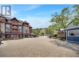 118 - 169 Jozo Weider Boulevard, Blue Mountains, ON L9Y0P7 Photo 30