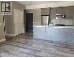 955 Ouellette Avenue Unit# 306, Windsor, ON N9A4J5 Photo 13