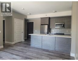 955 Ouellette Avenue Unit# 306, Windsor, ON N9A4J5 Photo 17