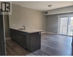 955 Ouellette Avenue Unit# 306, Windsor, ON N9A4J5 Photo 19