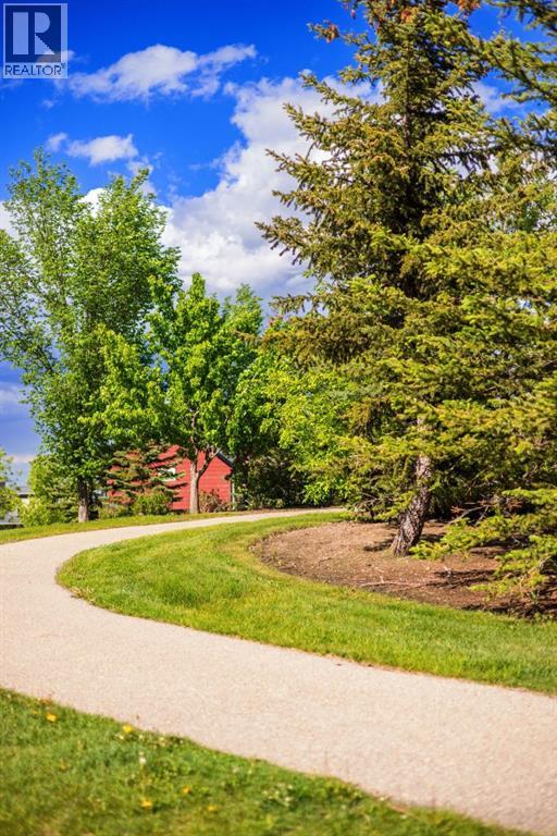 456 Rainbow Falls Drive - 47