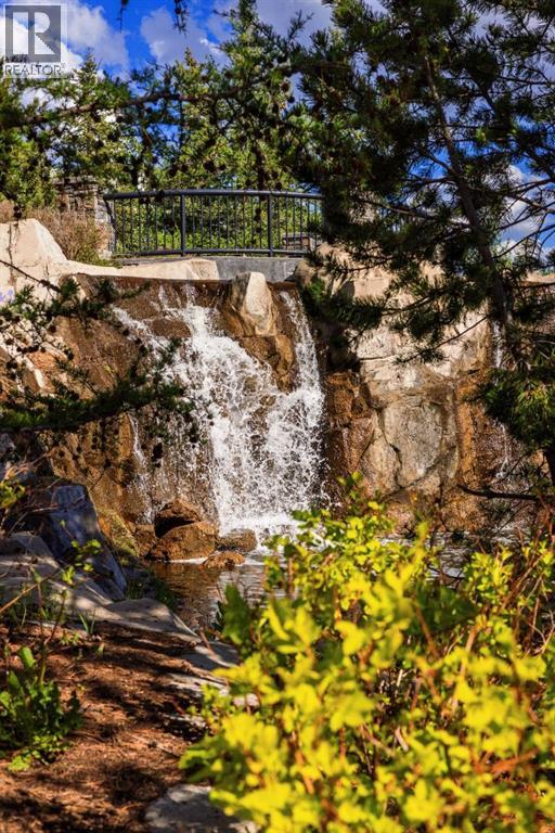 456 Rainbow Falls Drive - 49