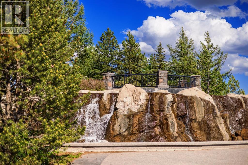 456 Rainbow Falls Drive - 50