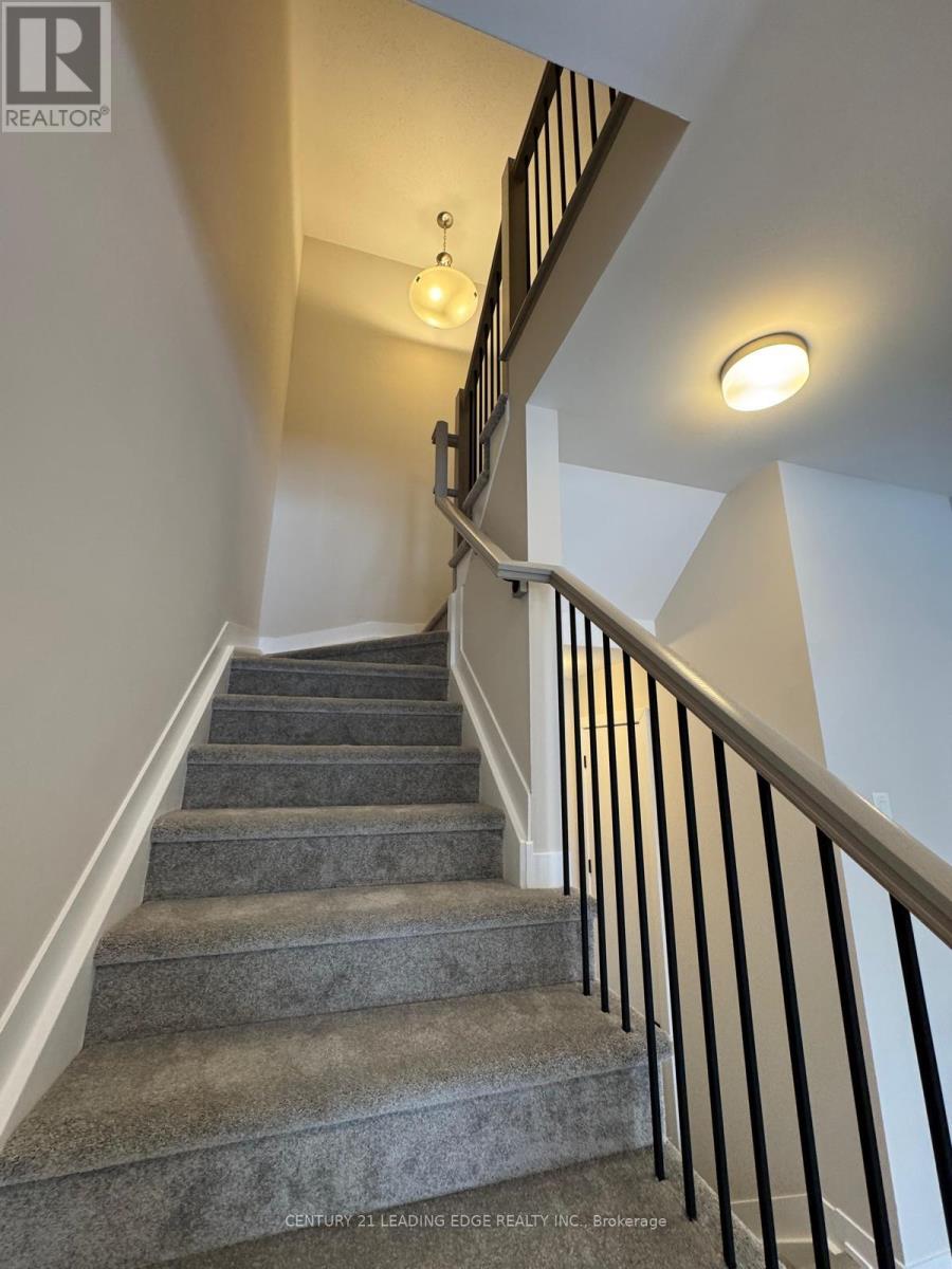 226 SPECKLED ALDER ROW - 11