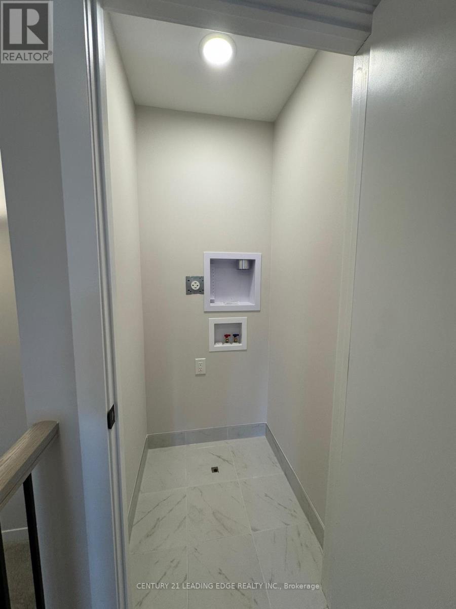 226 SPECKLED ALDER ROW - 12