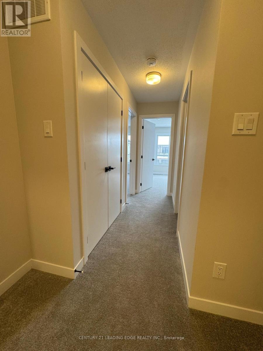 226 SPECKLED ALDER ROW - 13
