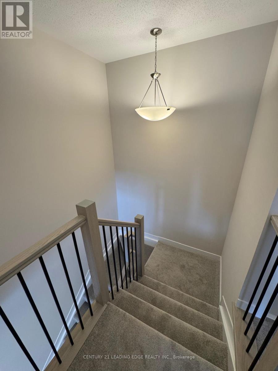 226 SPECKLED ALDER ROW - 17
