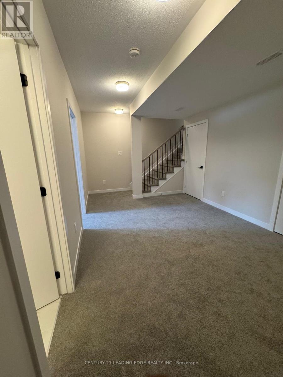 226 SPECKLED ALDER ROW - 21