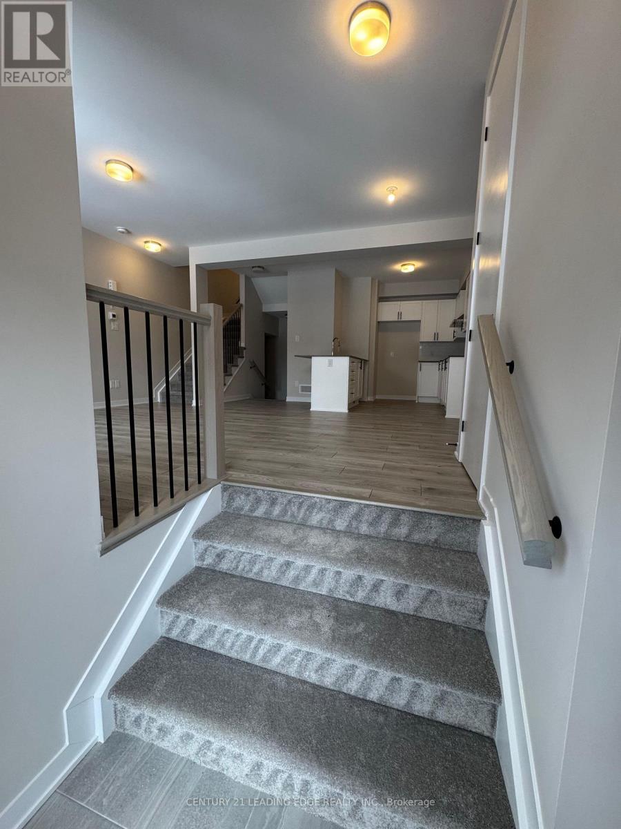 226 SPECKLED ALDER ROW - 3