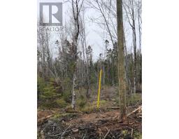 Lot 6 Tattrie Settlement Road, French River, NS B0K1V0 Photo 10