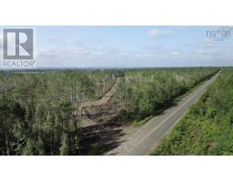 Lot 6 Tattrie Settlement Road, French River, NS B0K1V0 Photo 14