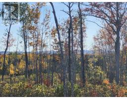 Lot 6 Tattrie Settlement Road, French River, NS B0K1V0 Photo 9