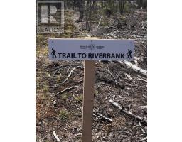 Lot 6 Tattrie Settlement Road, French River, NS B0K1V0 Photo 13
