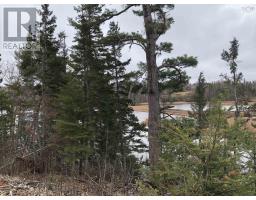 Lot 6 Tattrie Settlement Road, French River, NS B0K1V0 Photo 6