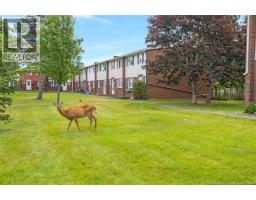 31 Wasson Court, photo 2