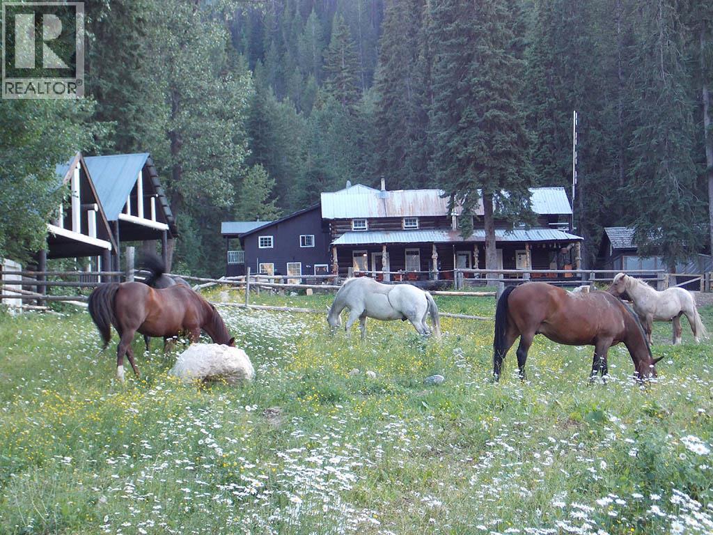4227-4233 Beaverfoot Forest Service Road - 6
