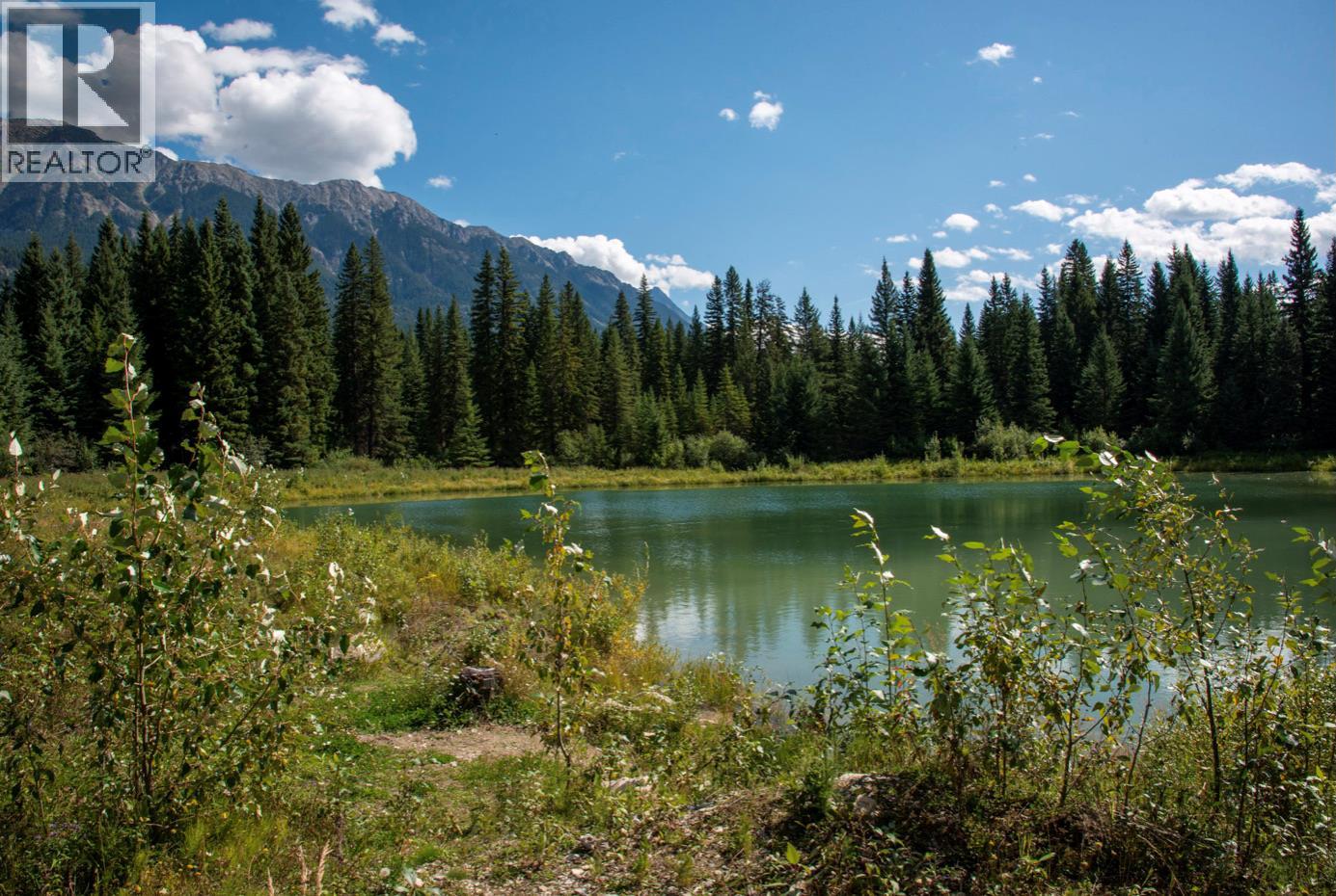4227-4233 Beaverfoot Forest Service Road - 19