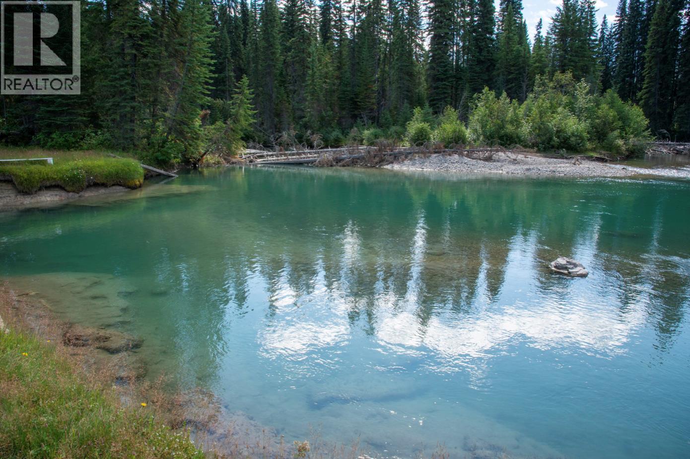 4227-4233 Beaverfoot Forest Service Road - 21