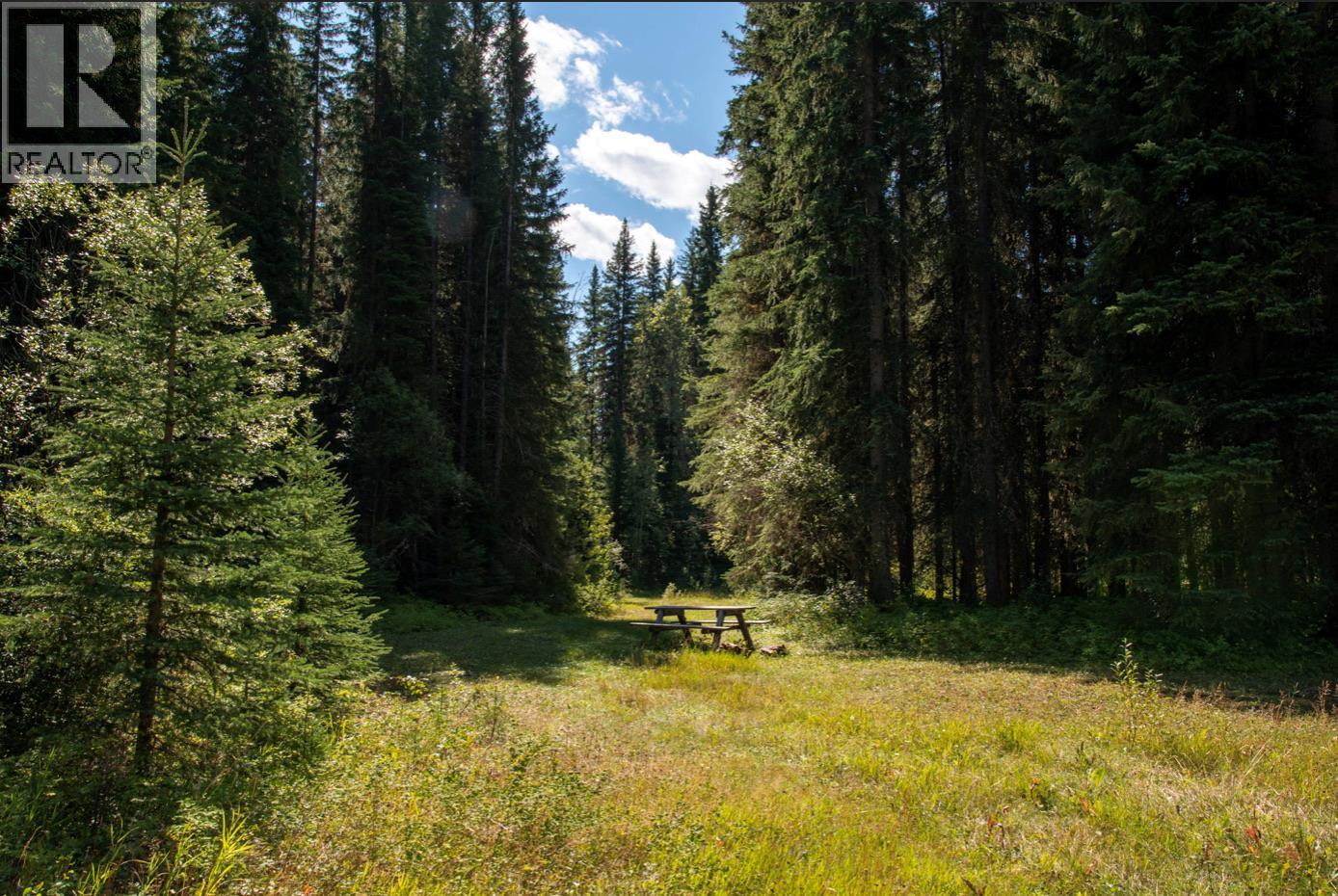 4227-4233 Beaverfoot Forest Service Road - 22