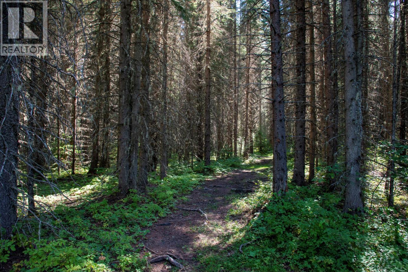 4227-4233 Beaverfoot Forest Service Road - 17