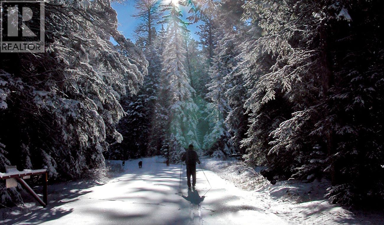 4227-4233 Beaverfoot Forest Service Road - 27