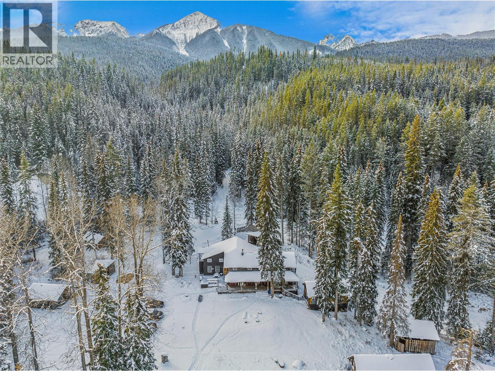 4227-4233 Beaverfoot Forest Service Road - 34