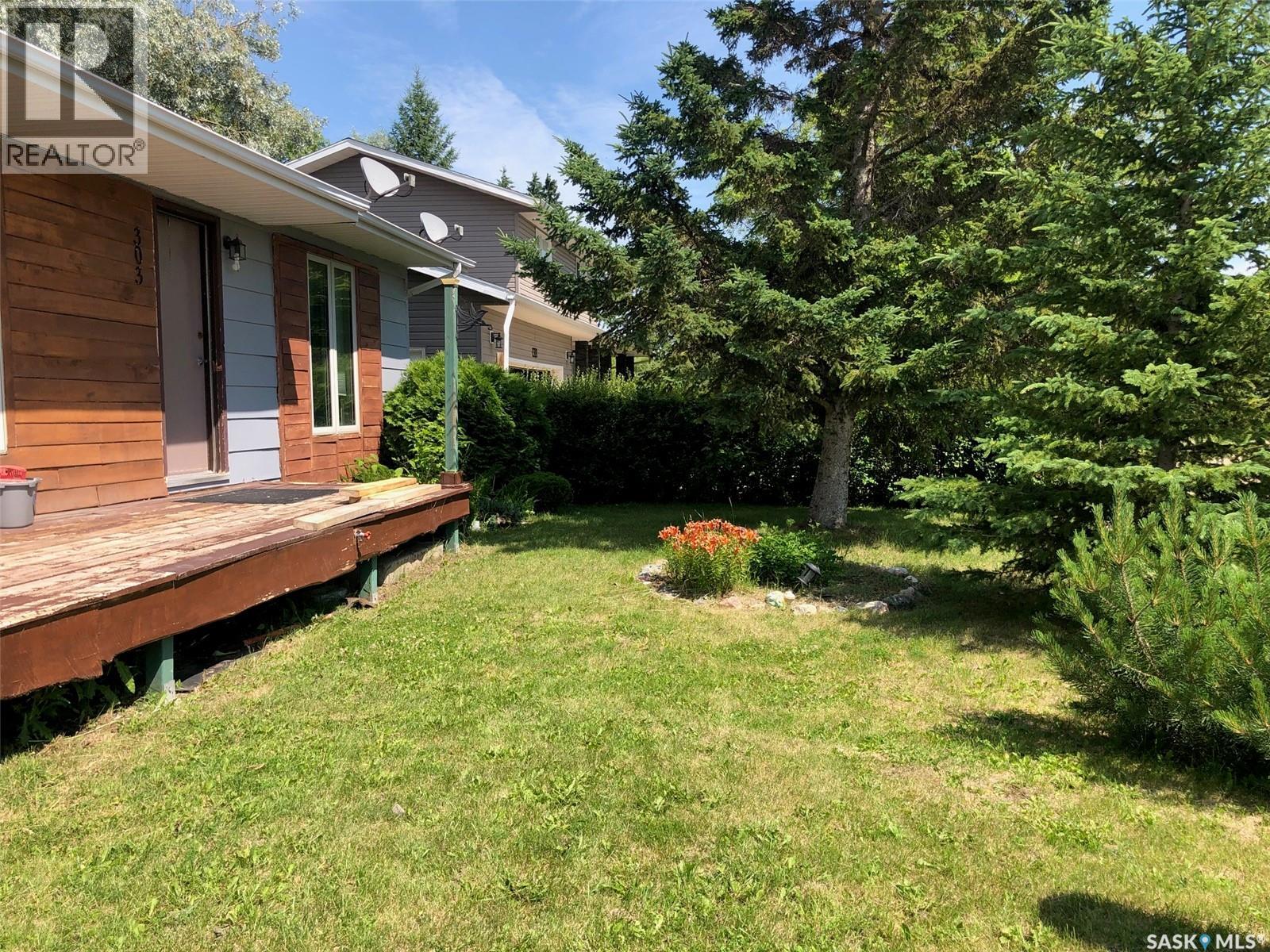 303 6th AVENUE, Invermay — photo 2