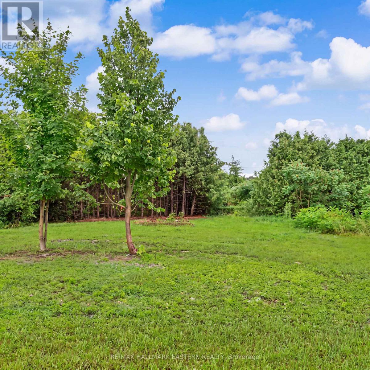 2260 BUCKHORN ROAD - 34
