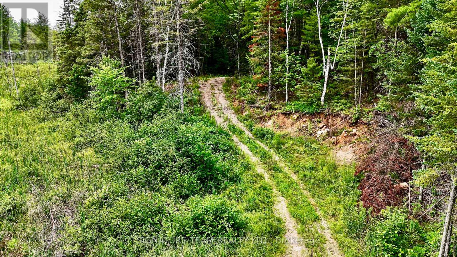 1011 MCGRATH ROAD, Bonnechere Valley — photo 2