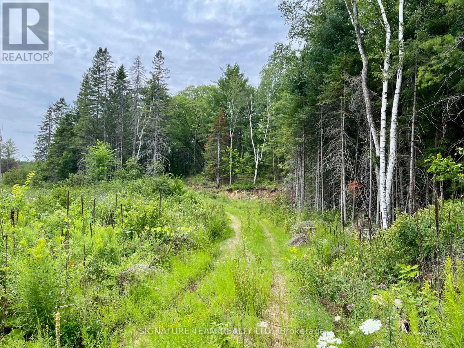 1011 MCGRATH ROAD, Bonnechere Valley — photo 3